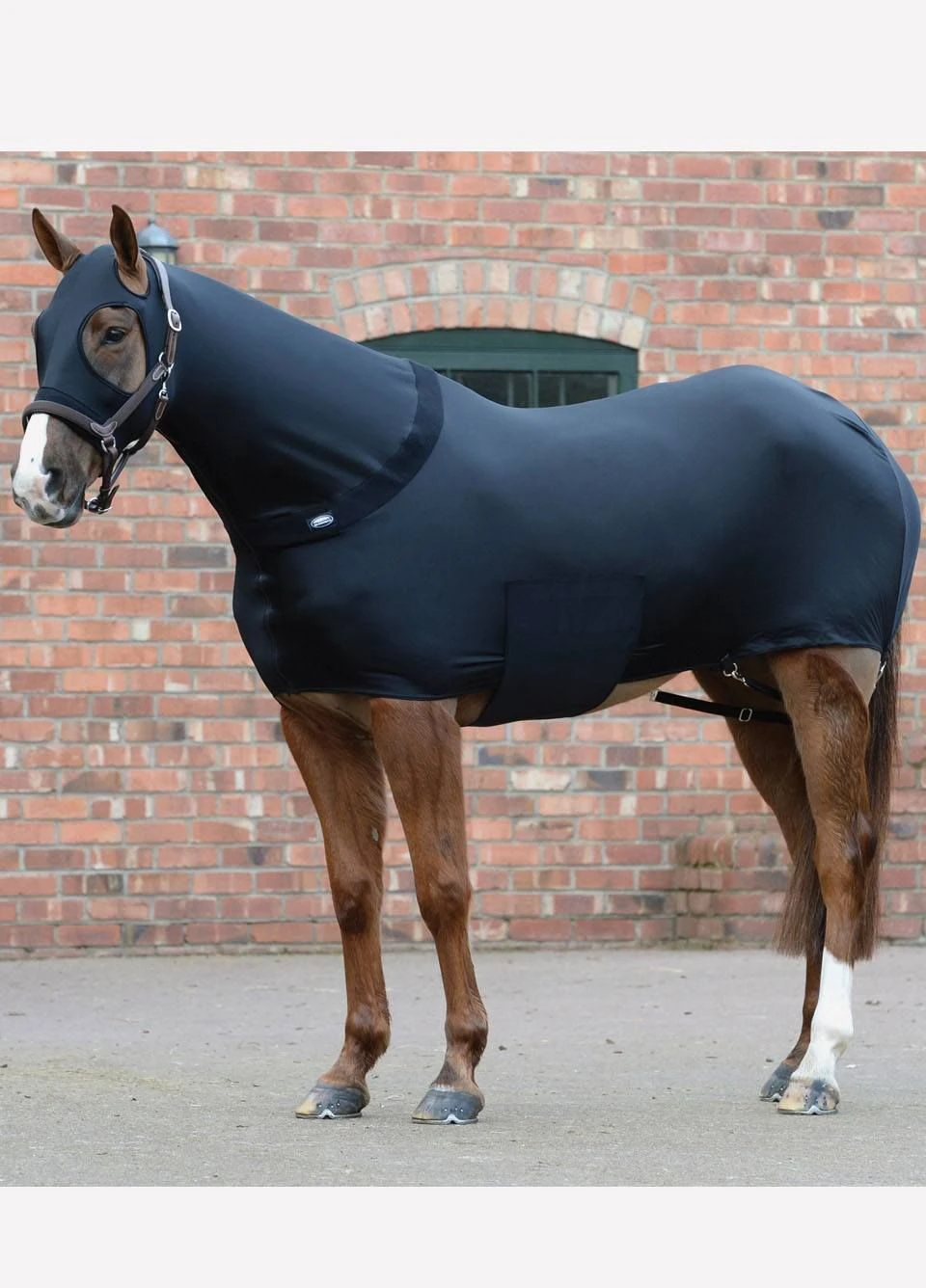 Weatherbeeta Stretch Rug With Belly Closure - Black 3 Weatherbeeta Stretch Rug With Belly Closure - Black