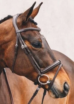 Schockemohle Tokyo Select Anatomical Bridle - Brown -Equestrian Supplies Shop tokyoselectbrn2rdy