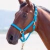 Shires Topaz Padded Headcollar - Bright Blue -Equestrian Supplies Shop topazhclightblu.rdy