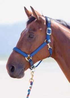 Shires Topaz Padded Headcollar - Navy