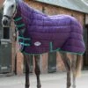 Weatherbeeta 210D Channel Quilt Combo Medium - Bright Purple/Green 1 Weatherbeeta 210D Channel Quilt Combo Medium - Bright Purple/Green -Equestrian Supplies Shop wb channel combo med purp green 1rdy