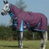 Weatherbeeta Essential Combo Neck Medium - Grape/Blue 2 Weatherbeeta Essential Combo Neck Medium - Grape/Blue -Equestrian Supplies Shop wb combo grape 1rdy