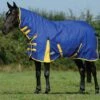 Weatherbeeta Classic Combo Medium - Blue/Lemon 2 Weatherbeeta Classic Combo Medium - Blue/Lemon -Equestrian Supplies Shop wb combo medium blue 1rdy
