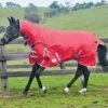 Weatherbeeta ComFITec Classic Combo Neck Medium/Lite - Red/Silver 2 Weatherbeeta ComFITec Classic Combo Neck Medium/Lite - Red/Silver -Equestrian Supplies Shop wb combo red 1rdy
