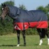 Weatherbeeta Plus Dynamic II Detach-A-Neck Medium - Black/Red/Silver -Equestrian Supplies Shop wb dynamic detach black red 1rdy