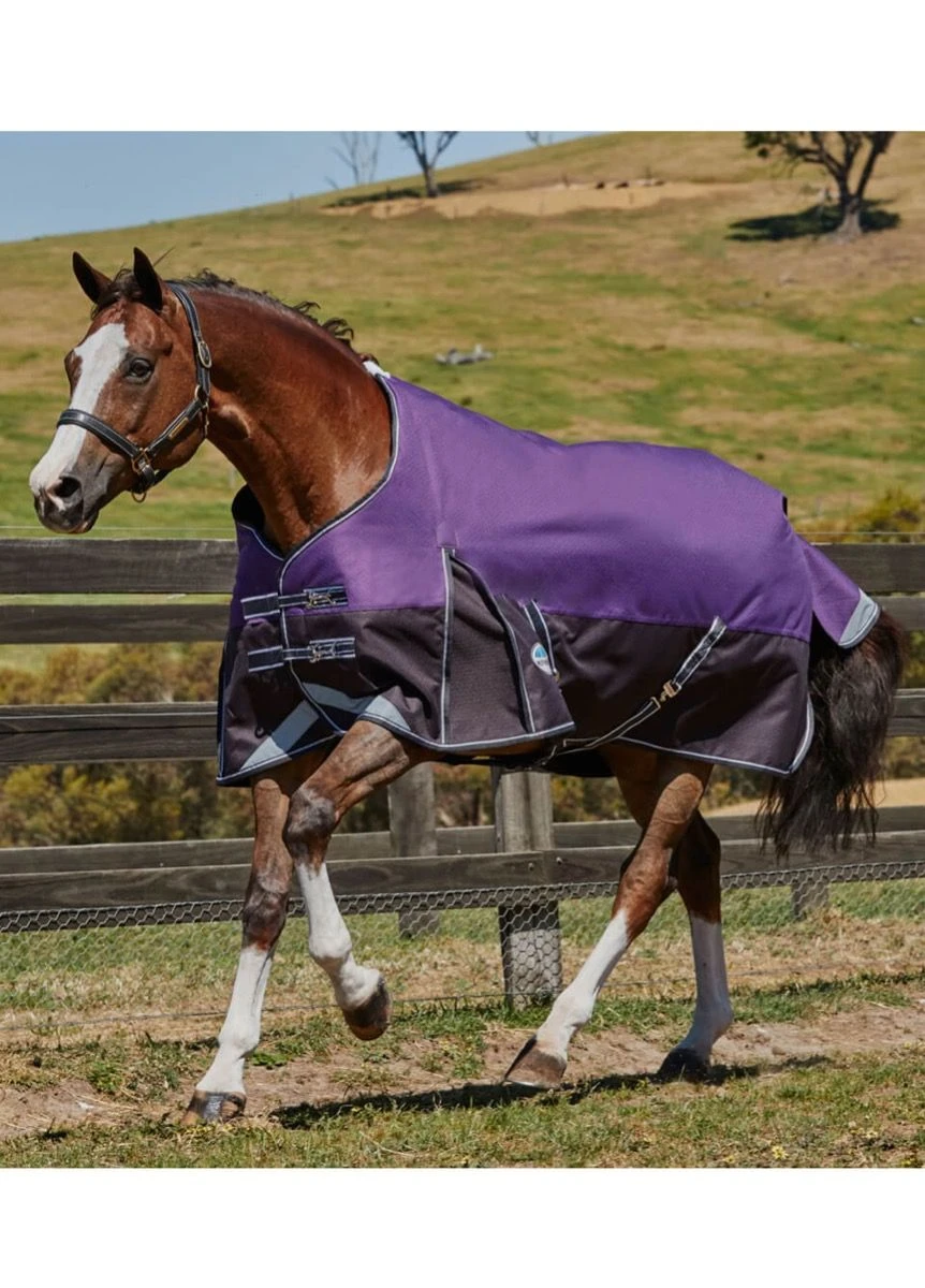 Weatherbeeta Plus Dynamic Standard Medium - Purple/Black 3 Weatherbeeta Plus Dynamic Standard Medium - Purple/Black