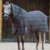 Weatherbeeta PP Channel Quilt Detach-A-Neck Medium - Grey/Burgundy 1 Weatherbeeta PP Channel Quilt Detach-A-Neck Medium - Grey/Burgundy -Equestrian Supplies Shop wb pp channel dan med grey burg 1rdy