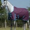 Weatherbeeta Essential Standard Neck Medium - Grape/Blue -Equestrian Supplies Shop wb standard medium grape 1rdy
