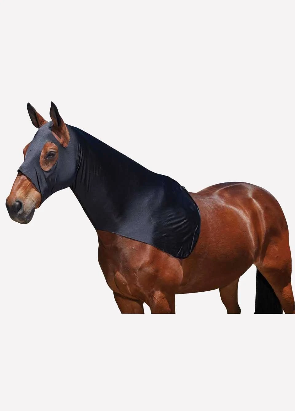 Weatherbeeta Stretch Hood - Black 3 Weatherbeeta Stretch Hood - Black