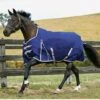 Weatherbeeta Comfitec Essential Standard Medium - Navy/Silver/Red -Equestrian Supplies Shop wb11