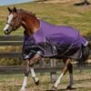 Weatherbeeta Comfitec Plus Dynamic Standard Neck Medium/Lite Turnout - Purple/Black 1 Weatherbeeta Comfitec Plus Dynamic Standard Neck Medium/Lite Turnout - Purple/Black -Equestrian Supplies Shop wb2