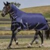 Weatherbeeta ComFITec Essential Combo Med - Navy/Silver/Red 1 Weatherbeeta ComFITec Essential Combo Med - Navy/Silver/Red -Equestrian Supplies Shop wb5
