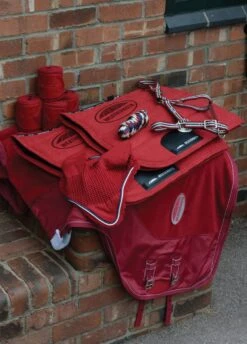 Weatherbeeta Coordinate Headcollar - Ruby -Equestrian Supplies Shop wbbirthday2 2