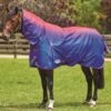 Weatherbeeta Comfitec Plus Dynamic Combo Lite Turnout - Purple Ombre -Equestrian Supplies Shop wbdynamiccombolitepurpleombrerdy