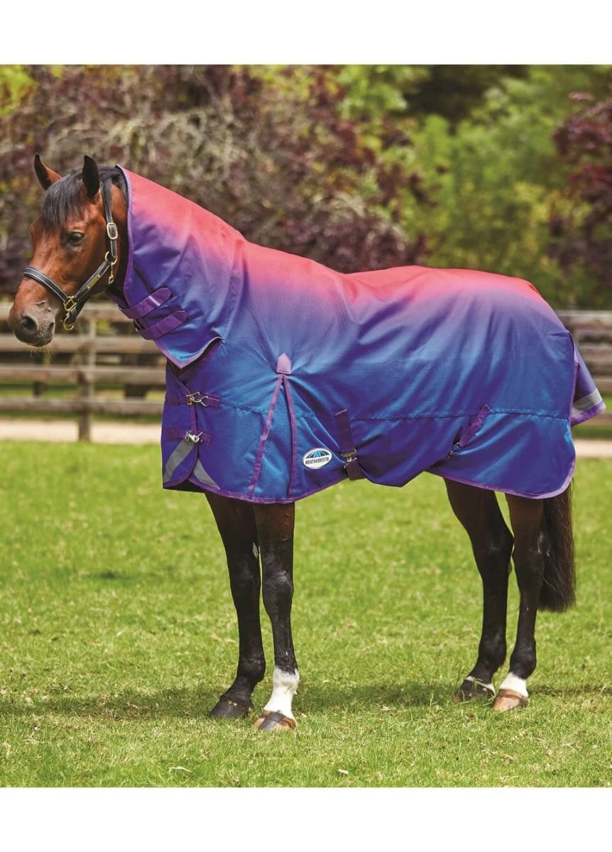 Weatherbeeta Comfitec Plus Dynamic Combo Lite Turnout - Purple Ombre 3 Weatherbeeta Comfitec Plus Dynamic Combo Lite Turnout - Purple Ombre