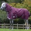 Weatherbeeta ComFITec Plus Dynamic II Detach-A-Neck Medium- Maroon/Grey/White 2 Weatherbeeta ComFITec Plus Dynamic II Detach-A-Neck Medium- Maroon/Grey/White -Equestrian Supplies Shop wbdynamicdanmaroonrdy