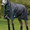 Weatherbeeta ComFITec Plus Dynamic II Combo Neck Medium - Black/Aqua -Equestrian Supplies Shop wbdynamiciicomboblackaquardy