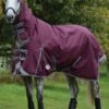 Weatherbeeta ComFITec Plus Dynamic II Combo Neck Medium - Maroon/Grey/White 1 Weatherbeeta ComFITec Plus Dynamic II Combo Neck Medium - Maroon/Grey/White -Equestrian Supplies Shop wbdynamiciicombomaroonrdy