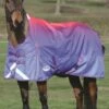 Weatherbeeta ComFiTec Plus Dynamic Standard Neck Lite Turnout Rug - Purple Ombre 1 Weatherbeeta ComFiTec Plus Dynamic Standard Neck Lite Turnout Rug - Purple Ombre -Equestrian Supplies Shop wbdynamicstandardlitepurpombre2rdy