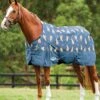 WeatherBeeta Comfitec Essential Standard Neck Lite - Giraffe 2 WeatherBeeta Comfitec Essential Standard Neck Lite - Giraffe -Equestrian Supplies Shop wbessentialstandardlitegirafferdy