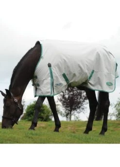 Weatherbeeta Green-Tec 900D Standard Neck Lite Plus - Light Grey/Bottle Green -Equestrian Supplies Shop wbgreenstandardlitepluslgreybgreenrdy