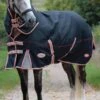 Weatherbeeta ComFITec Premier Therapy-Tec Detach-A-Neck Lite Plus - Black/Silver/Red -Equestrian Supplies Shop wbpremtherapydanliteplusblksvrred1rdy