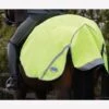 Weatherbeeta 300D Reflective Exercise Sheet - Yellow 2 Weatherbeeta 300D Reflective Exercise Sheet - Yellow -Equestrian Supplies Shop wbreflectiverug