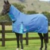 Weatherbeeta ComFITec Classic Combo Neck Lite - Delft Blue/Mint 2 Weatherbeeta ComFITec Classic Combo Neck Lite - Delft Blue/Mint -Equestrian Supplies Shop weatherbeeta classic combo delft blue 1rdy