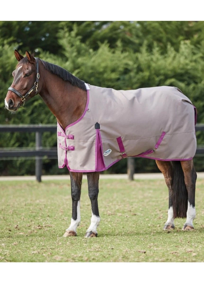 Weatherbeeta ComFITec Essential Standard Neck Lite Plus - Dark Grey/Orchid 3 Weatherbeeta ComFITec Essential Standard Neck Lite Plus - Dark Grey/Orchid