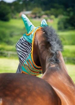 Shires Zeb-Tek Fly Mask - Zebra -Equestrian Supplies Shop zebraflymasktealrdy